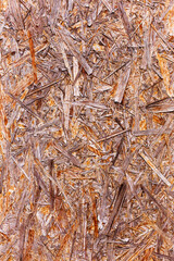 Abstract background of wood shavings. Great background or texture.