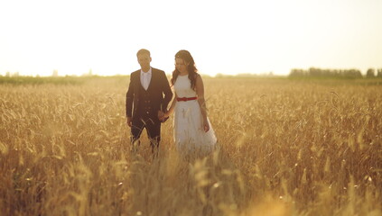 The bride and groom hold hands, hug each other and walk in the park. Sunset light. wedding. Happy love concept.
