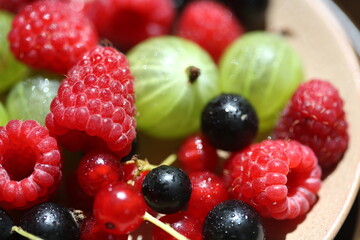 Berries, raspberry, currant, gooseberry/ healthy food