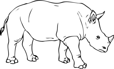 Realistic Rhino Drawing - Vector