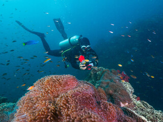 Magnificent sea anemone and photo diver © Mayumi.K.Photography