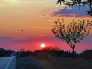 Atardecer en el campo
