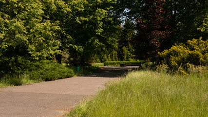 Beautiful views in the Silesian park in Chorzów. Ready for entry.