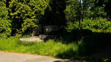 Beautiful views in the Silesian park in Chorzów. Ready for entry.