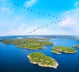 flock of migrating. Birds over beautiful blue lake with islands