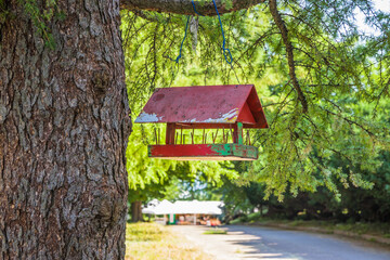 Feeders for birds in the city park