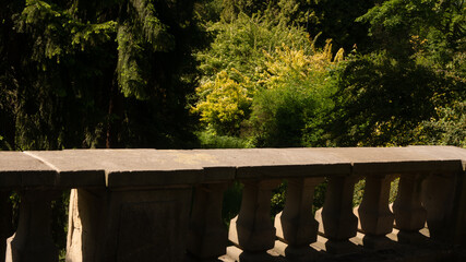 Obraz premium Beautiful views in the Silesian park in Chorzów. Ready for entry.
