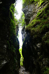 Fototapeta na wymiar Roßlochklamm, Ausflugsziel in der Steiermark