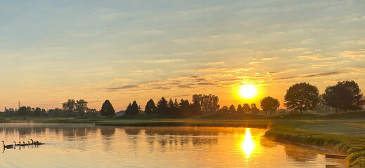 sunrise over golf course geese family swimming