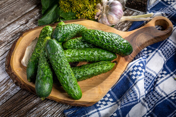 Preparation for pickling cucumbers.