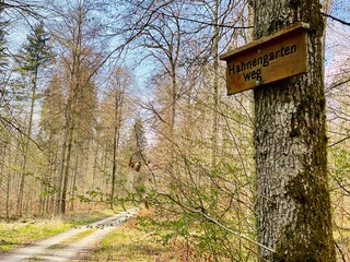 road sign in the forrest