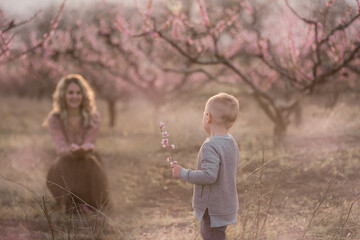 A little boy, a blond son, is holding a twig with pink flowers in his hands to present with love to his beautiful, tender mother in blooming peach gardens. Mothers Day, motherhood, care, child custody