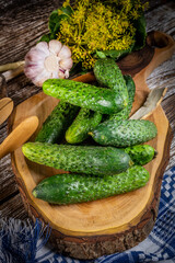 Preparation for pickling cucumbers.