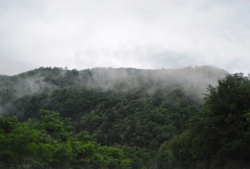 morning fog in the hills