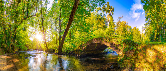 Forest panorama in the bright light of the sun, with an old bridge over a stream