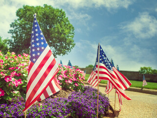 American flags displayed on the side of the street in honor of the 4th of July. Beautiful flower bed and blue sky background.
