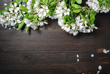 Wood table background or wooden texture with spring flowers. Flat lay.