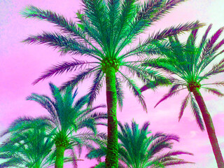 Plakat palm tree sunset tropical beach vacation beach background with pacific pink copy space 