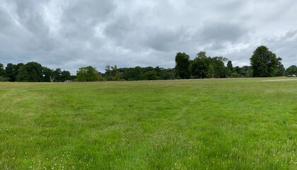 green field and blue sky