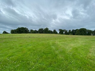 green field and blue sky