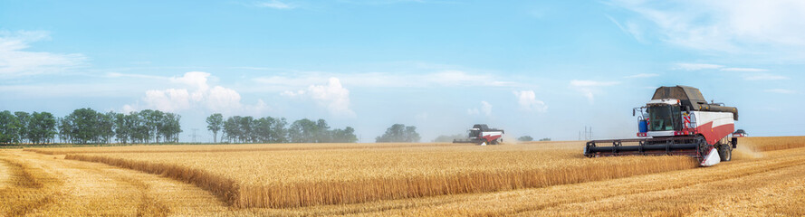 Combine harvesting wheat on sunny summer day