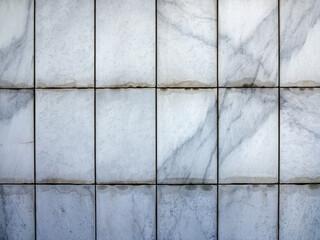 rectangular marble tiles with gray veins
