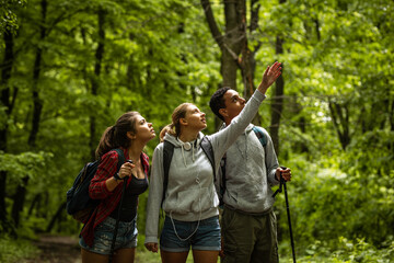 Group of young people hiking trough forest.Outdoors nature concept.	
