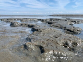 Watt vor Cuxhaven 