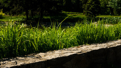 Beautiful views in the Silesian park in Chorzów. Ready for entry.