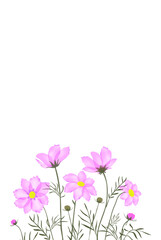 Obraz na płótnie Canvas Garden landscapes, summer and spring flower bed.Vector illustration spring and summer garden flowers isolated on white.