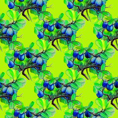 illustration blueberry berries branches pattern