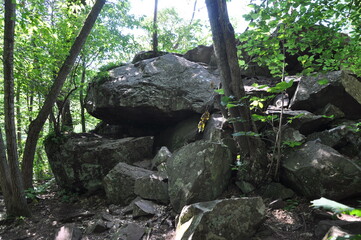 Obraz premium stone in the park