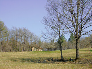 Fototapeta premium Genova, Italy - 06/29/2020: Beautiful floral spring abstract background of nature. Branches of blossoming apricot macro with soft focus on gentle light blue sky background. 