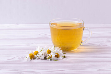 herbal fresh hot tea in a glass cup and camomile flowers