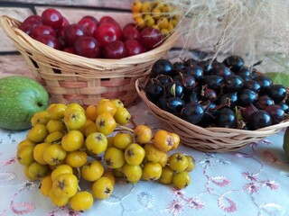 Food fruit and berry still life cherry in a basket black currant in a basket plate unripe yellow rowan green walnuts
