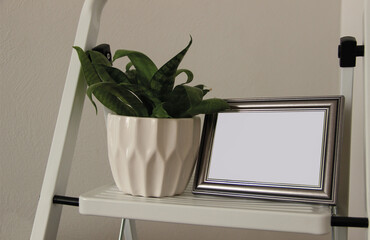 The mockup of the metallic photo frame and flower pot stand on the shelf.