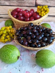 Food fruit and berry still life cherry in a basket black currant in a basket plate unripe yellow rowan green walnuts