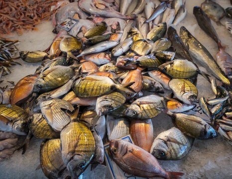 Various fish on the counter of the street market