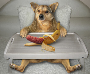 The beige dog on a white sofa is eating a sausage in a banana peel that is on a wooden bed tray.