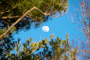 Semi-full moon