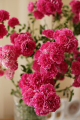 summer morning with the scent of roses and tea with milk