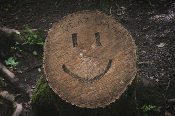 A motivating smiley face on a tree stump