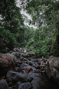 Comala River