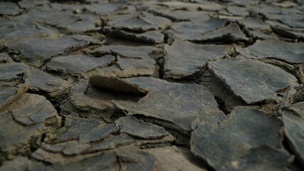 planet drought results in land cracking in summer