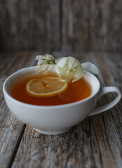 cream of pumpkin soup