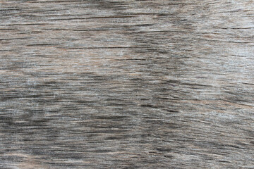 Wooden background texture, summer wall