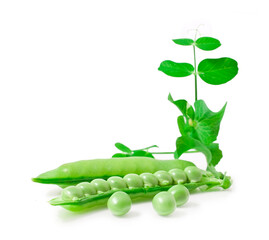 Fresh pea with green leaf isolated on a white background.
