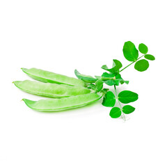 Fresh pea with green leaf isolated on a white background.