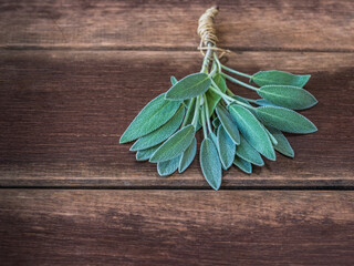 sage branches on rustic wooden table indoor Salvia officinalis..