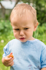 Portrait of a boy eating ripe red strawberries in the garden from the garden